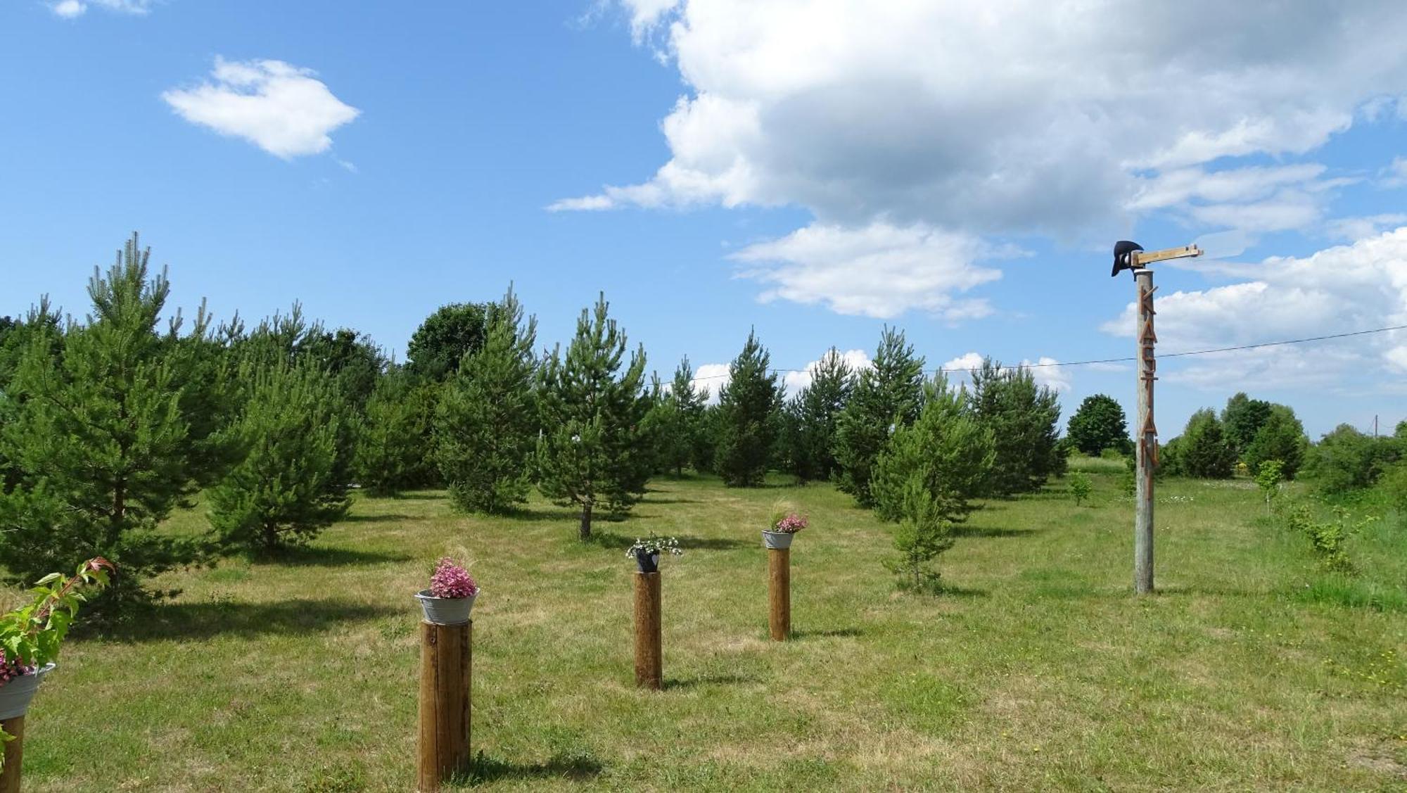 Kastani Camping Hotel Haapsalu Buitenkant foto